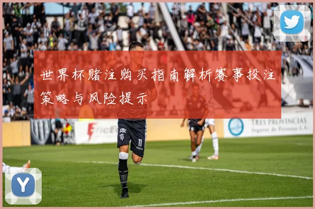 世界杯赌注购买指南解析赛事投注策略与风险提示