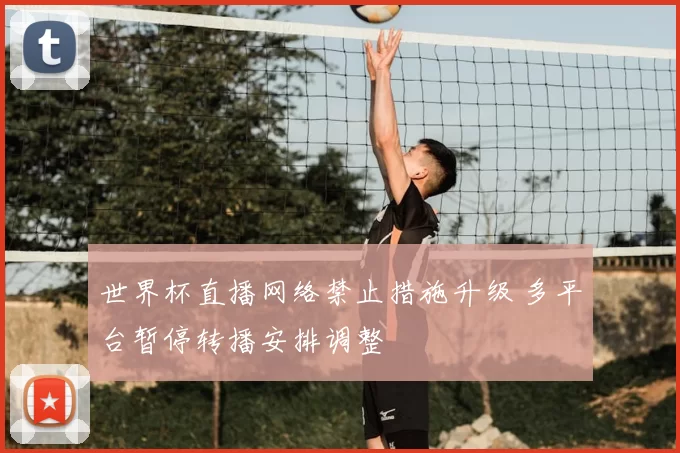 世界杯直播网络禁止措施升级 多平台暂停转播安排调整