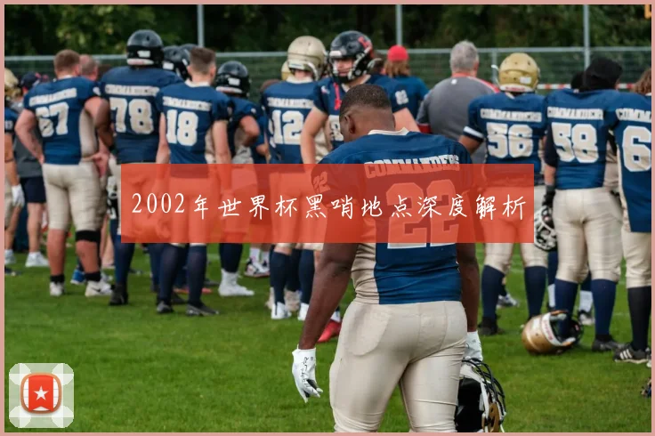 2002年世界杯黑哨地点深度解析