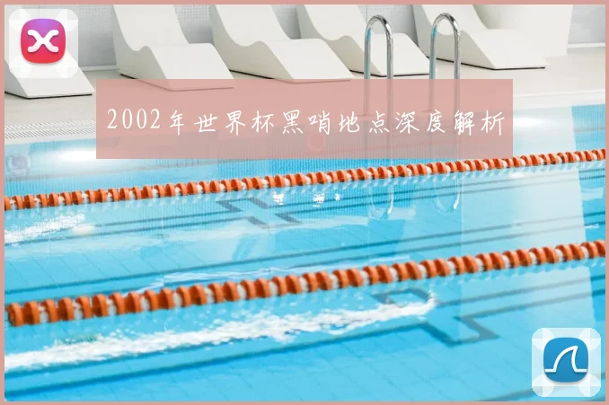 2002年世界杯黑哨地点深度解析