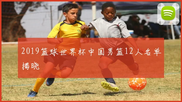 2019篮球世界杯中国男篮12人名单揭晓